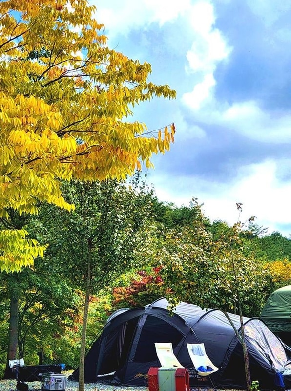 영양수비별빛캠핑장