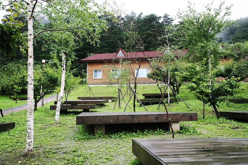 대관령자연휴양림야영장 시설 사진 3