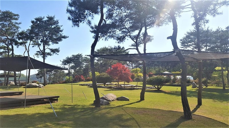 숲속의베리팜 시설 사진 12