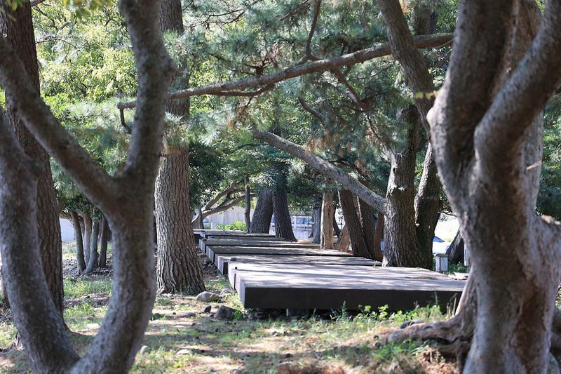 숙호야영장 시설 사진 7