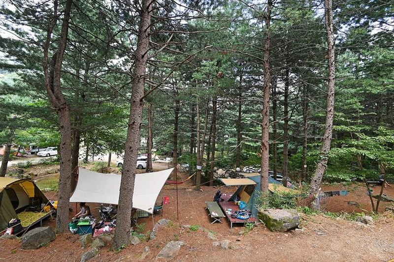 지리산 숲속의 쉼터