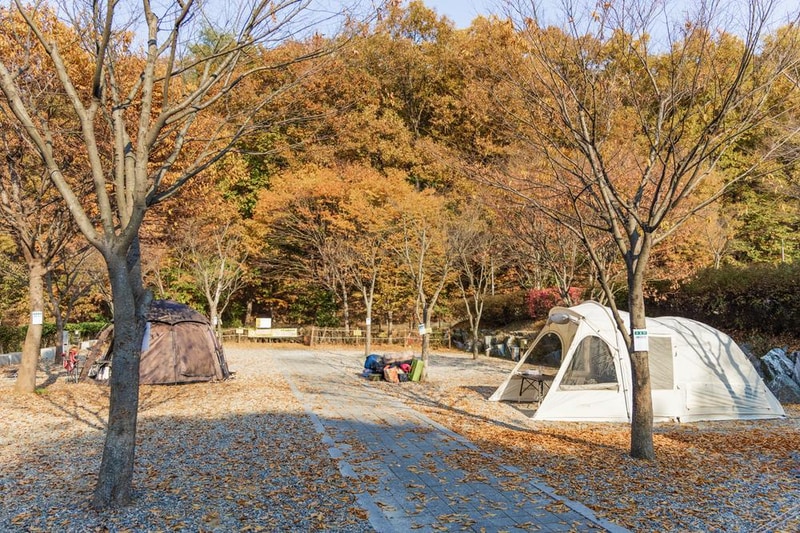 초막골생태공원 느티나무야영장 시설 사진 32