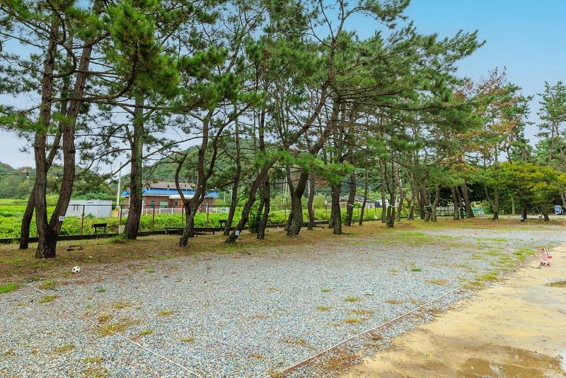 펜캠2495체험학교 시설 사진 7