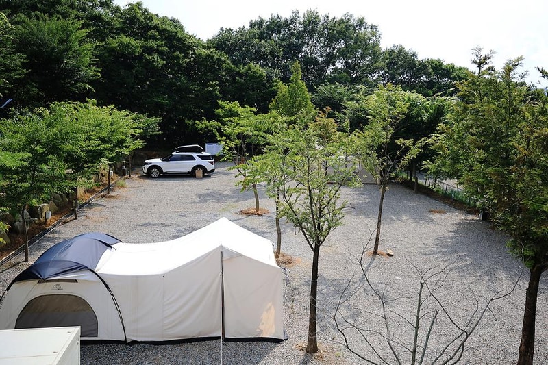 산머루농원캠핑장 시설 사진 11