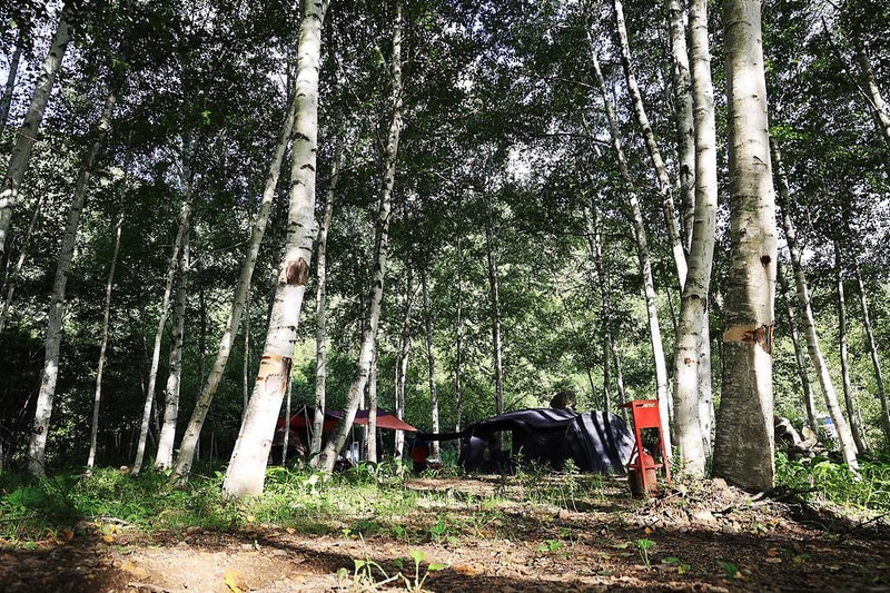 오아시스정글 시설 사진 7