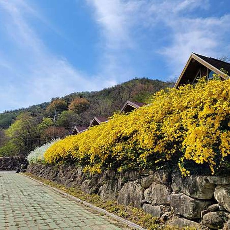 함양용추오토캠핑장 시설 사진 3