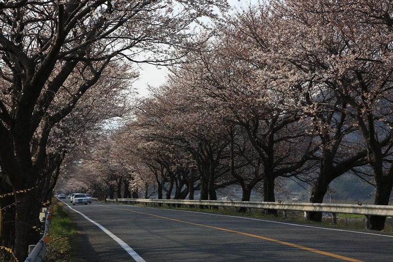 평사리공원 야영장 시설 사진 3