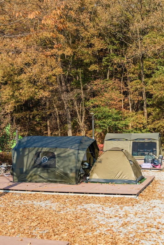 초막골생태공원 느티나무야영장 시설 사진 61