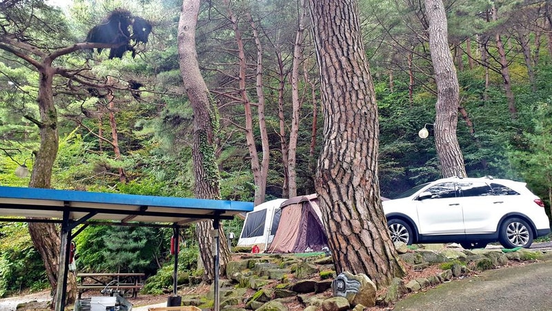 각화산캠핑장 시설 사진 6