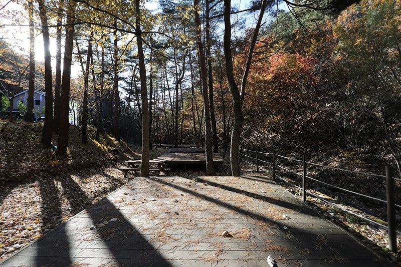 국립검마산자연휴양림야영장 시설 사진 7