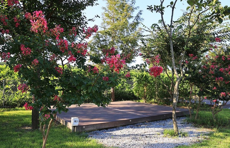 342 camp 시설 사진 14