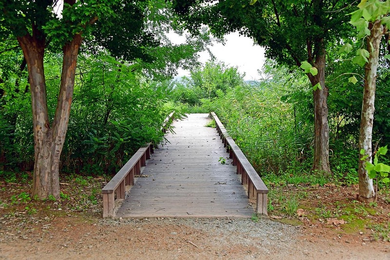 광주시민의 숲 야영장 시설 사진 3