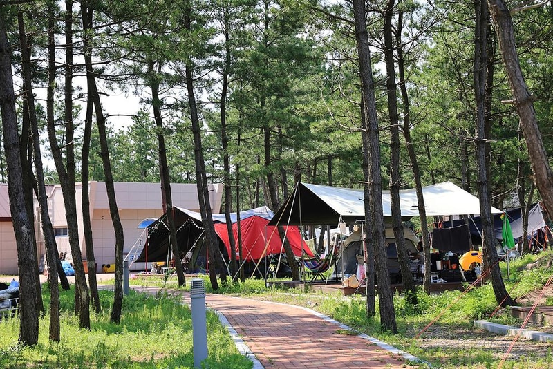 자작도캠핑장 시설 사진 1