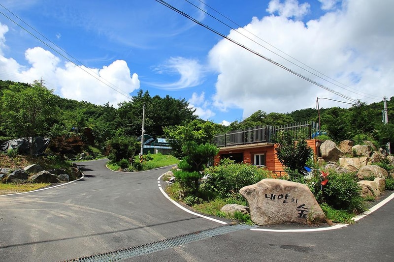 내안의 숲 시설 사진 3