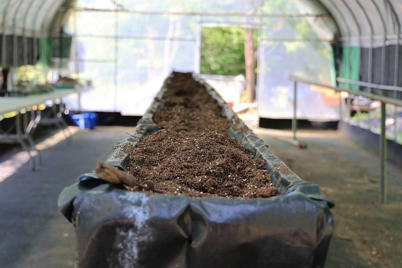 숲에서 놀자 시설 사진 8