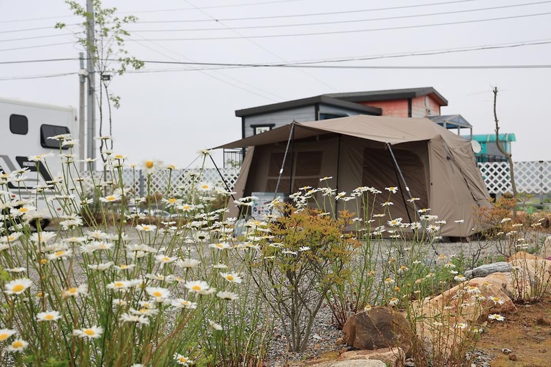 태안머드오토캠핑 시설 사진 3