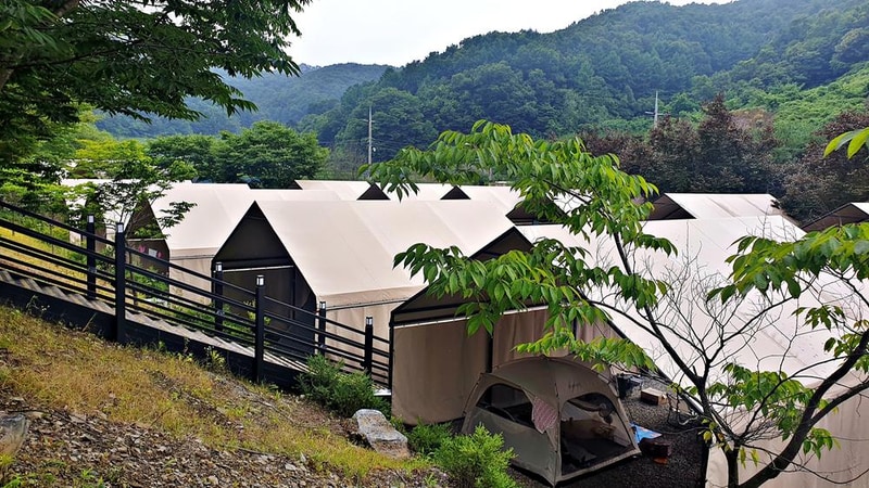 원더 포레스트 시설 사진 21