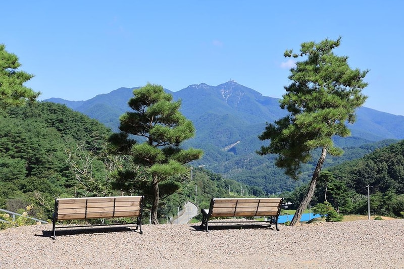 오도산 관광농원 시설 사진 19