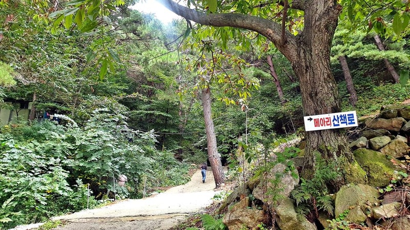 각화산캠핑장 시설 사진 12