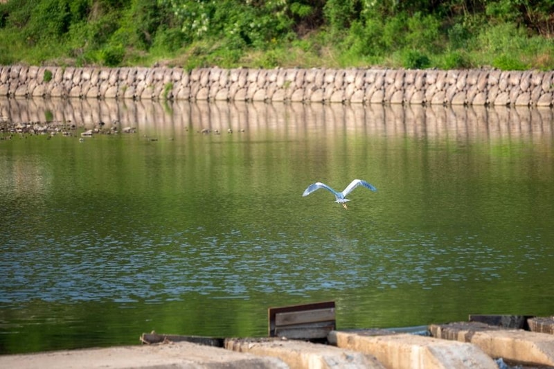 문경또또캠핑장 시설 사진 22