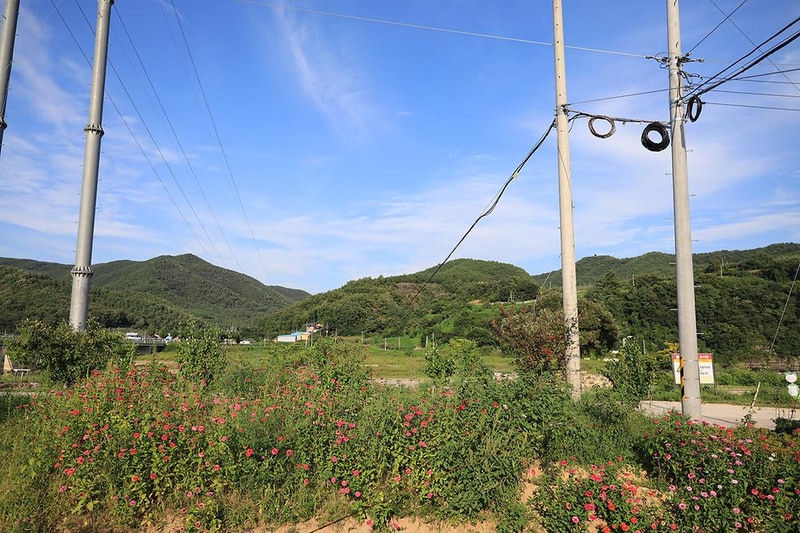 길안 다슬기캠프 시설 사진 15