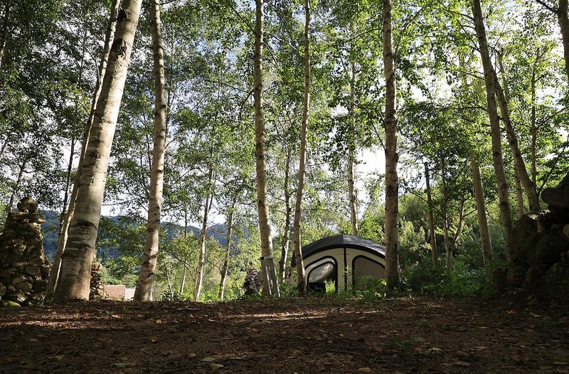 오아시스정글 시설 사진 6