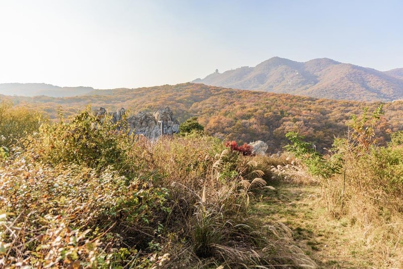 초막골생태공원 느티나무야영장 시설 사진 5