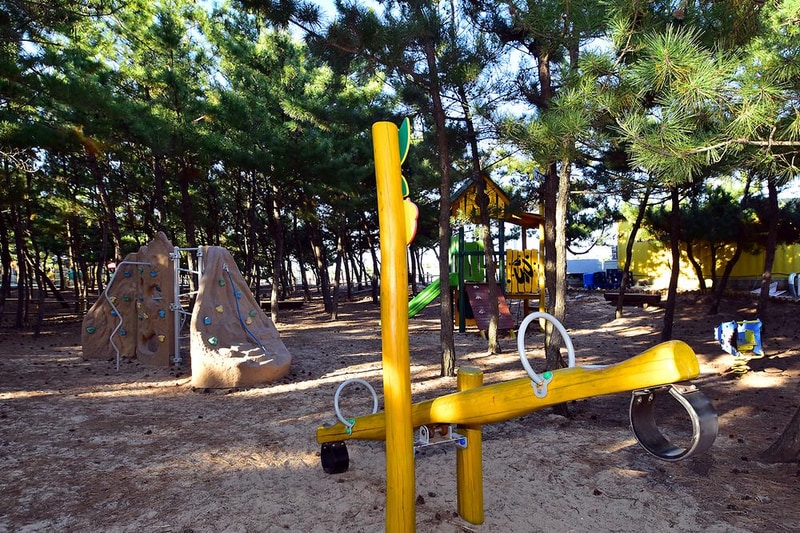 영덕 고래불 국민 야영장 시설 사진 23