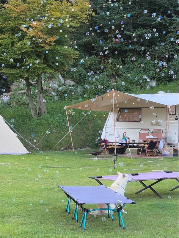 캠프히어 시설 사진 1