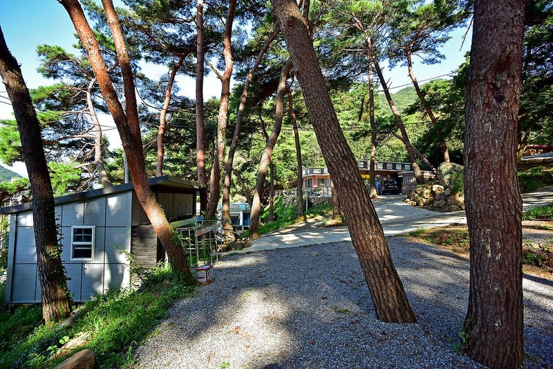 섬지캠핑장 시설 사진 40