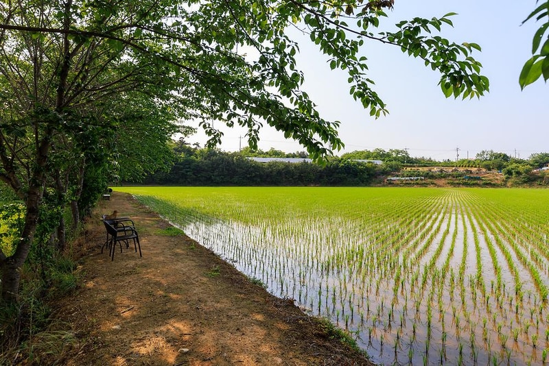 우니메이카 당진점 시설 사진 6