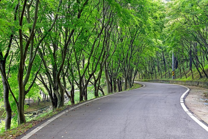 한천 자연휴양림 시설 사진 14