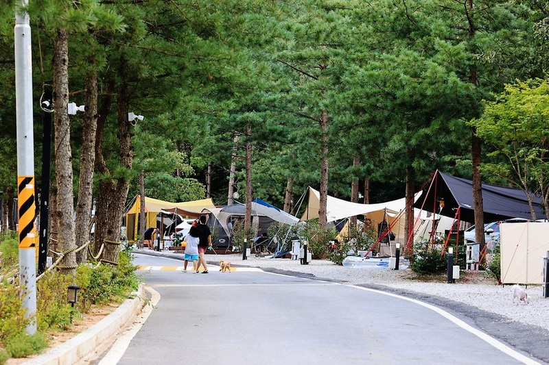 산정호수 돌고래 캠핑장 시설 사진 12