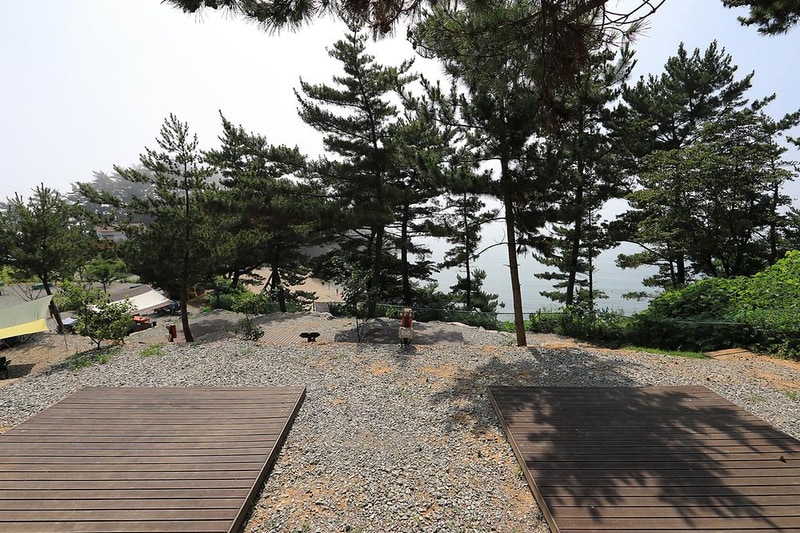 SE클럽(태안둘레길캠핑장&펜션) 시설 사진 20