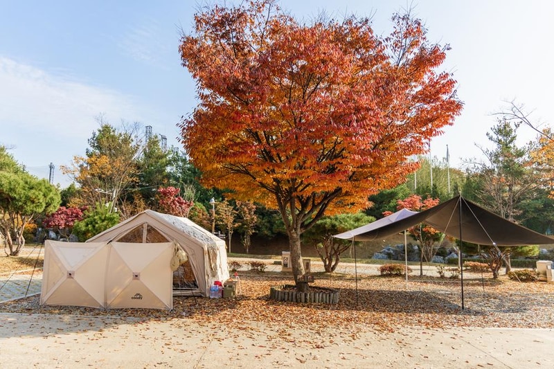 화성시 향남 오토캠핑장 시설 사진 60