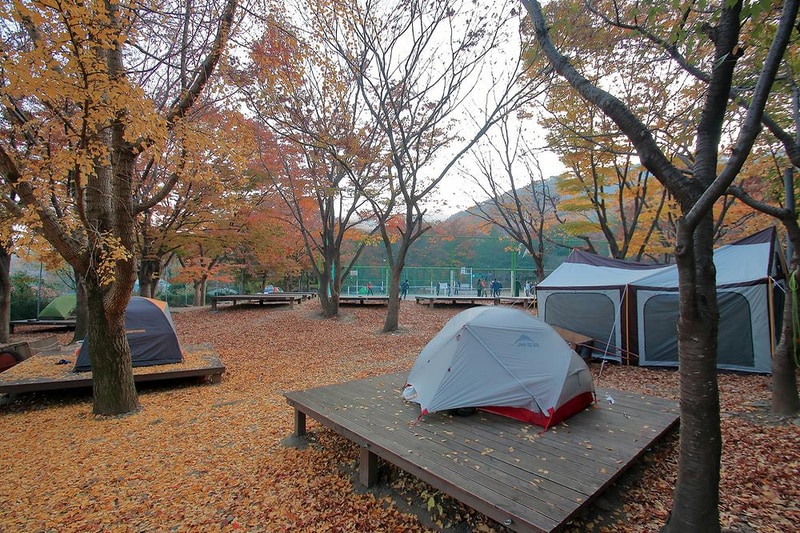 함허동천야영장 시설 사진 3