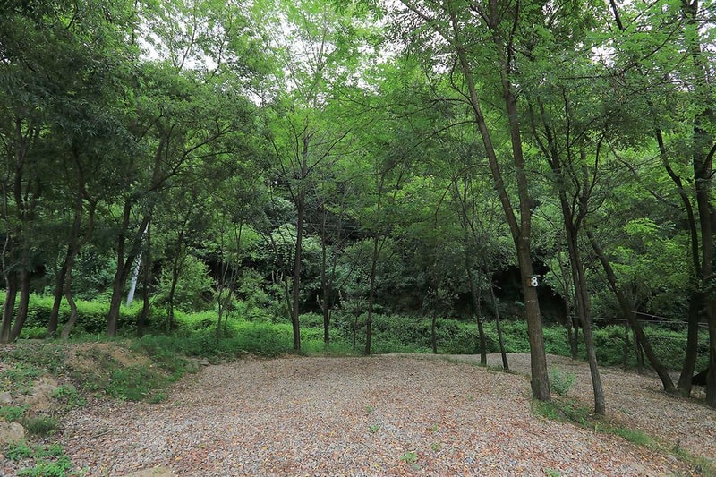 숲속캠핑장 시설 사진 3