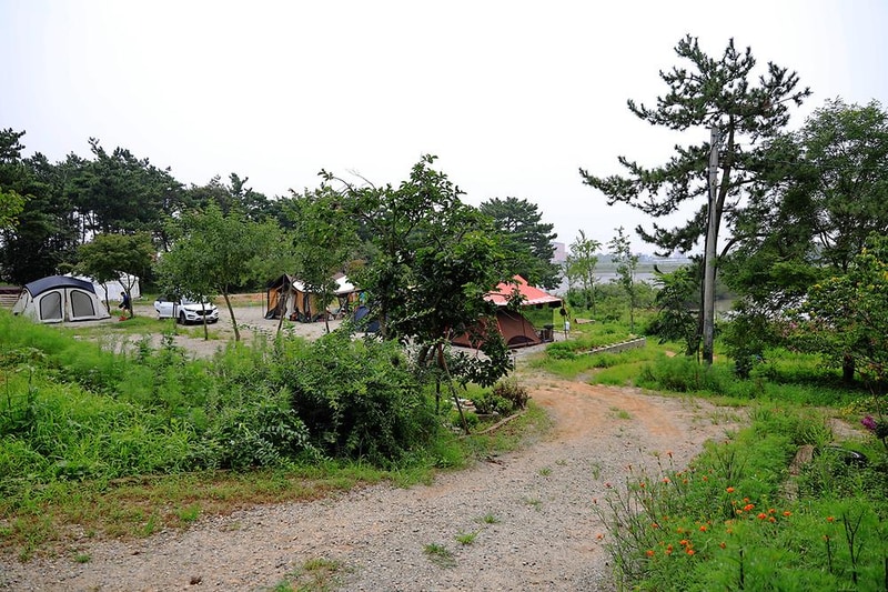 대부도 아라뜰 캠핑장 시설 사진 10