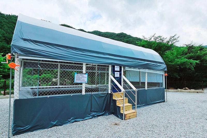 자작나무뜰 오토캠핑장 시설 사진 7