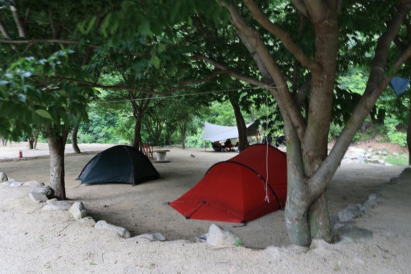 도마치 자연그대로 캠핑장 시설 사진 9