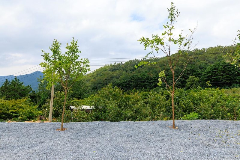 군위 솔밭야영장 시설 사진 6