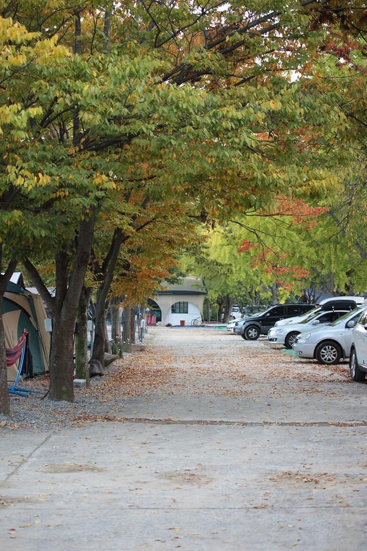 괴강관광농원 시설 사진 37