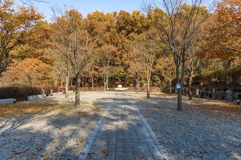 초막골생태공원 느티나무야영장 시설 사진 35