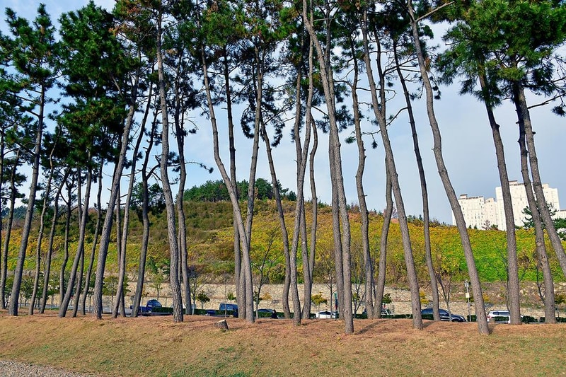 웅천친수공원 야영장 시설 사진 10