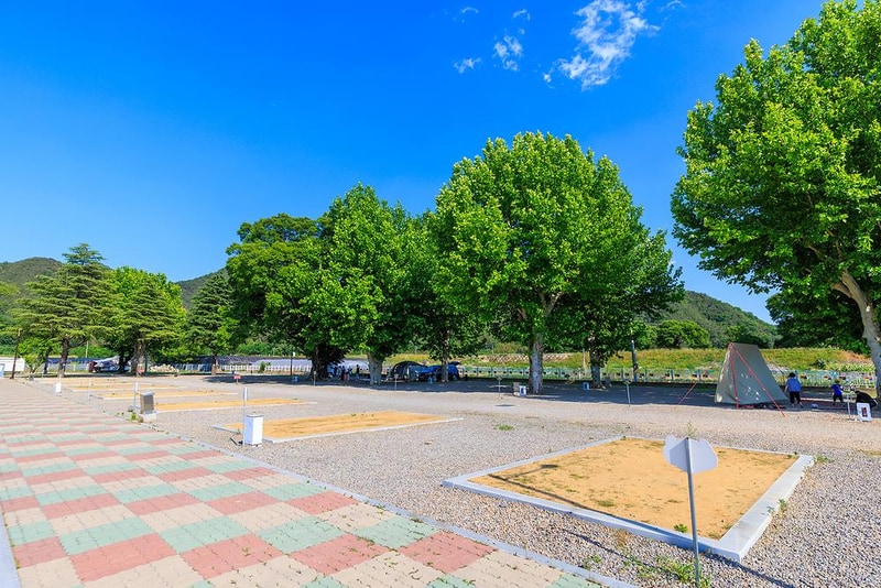 안림딸기마을 캠핑장 시설 사진 11