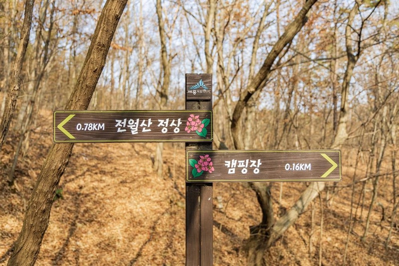 전월산 국민여가캠핑장 시설 사진 69