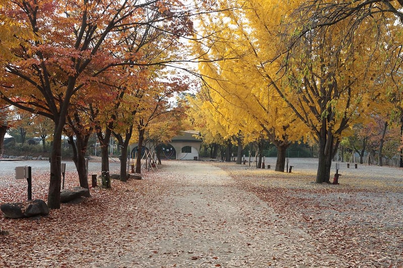 괴강관광농원 시설 사진 89