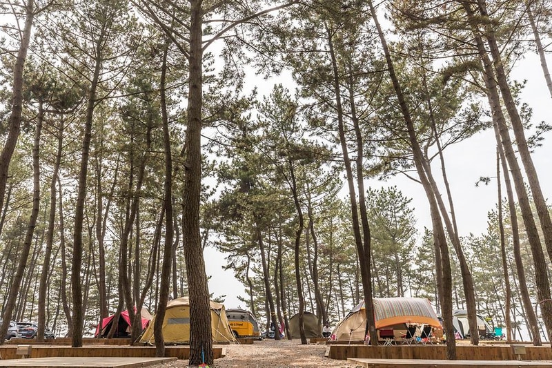 장항오토캠핑장 시설 사진 8