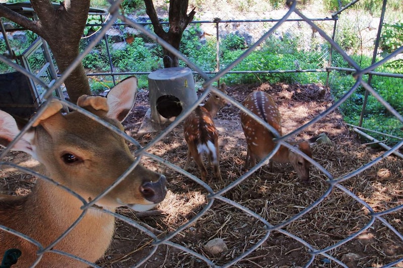 나그네캠핑장 시설 사진 10