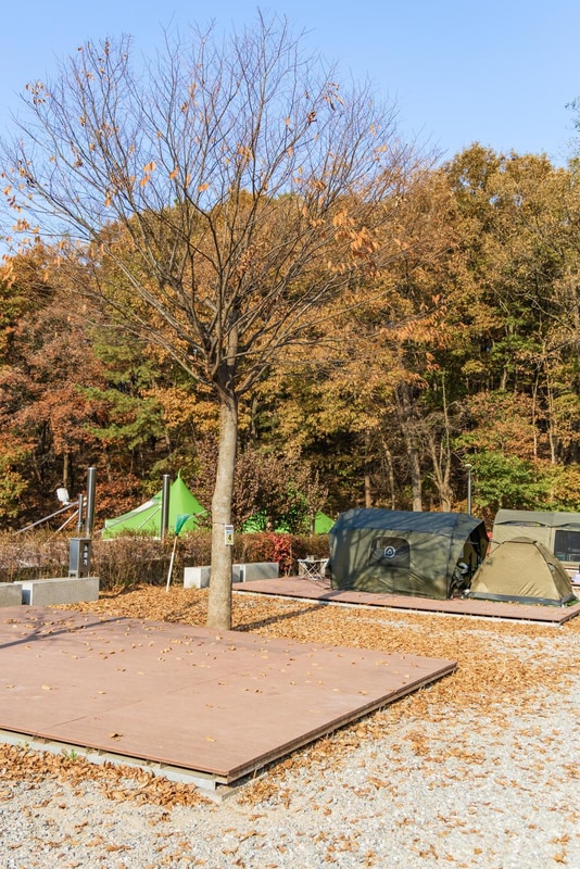 초막골생태공원 느티나무야영장 시설 사진 59